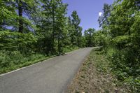 paved road passing through a green forest under blue sky with clouds above it by trees