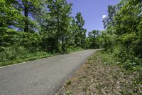 paved road passing through a green forest under blue sky with clouds above it by trees