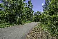 paved road passing through a green forest under blue sky with clouds above it by trees