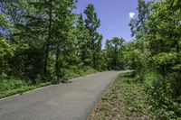 paved road passing through a green forest under blue sky with clouds above it by trees