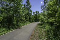 paved road passing through a green forest under blue sky with clouds above it by trees