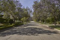 Scenic Residential Area in Los Angeles, California