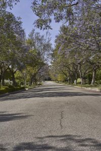 Scenic Residential Area in Los Angeles, California