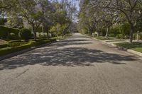 Scenic Residential Area in Los Angeles, California