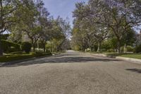 Scenic Residential Area in Los Angeles, California