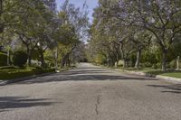 Scenic Residential Area in Los Angeles, California