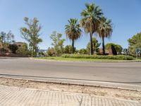 Scenic Residential Road in Mallorca, Spain 002