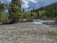 a forest is seen in this wide angle view in this photo from the bottom of the trail