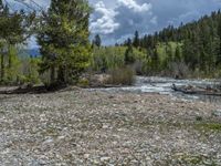 a forest is seen in this wide angle view in this photo from the bottom of the trail