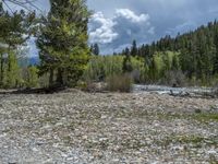 a forest is seen in this wide angle view in this photo from the bottom of the trail