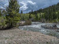 a forest is seen in this wide angle view in this photo from the bottom of the trail