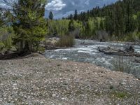 a forest is seen in this wide angle view in this photo from the bottom of the trail