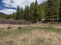 an image of a field that has snow on the mountain top in the background and a stream running through the forest