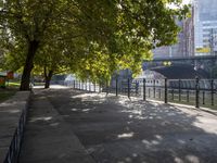 a scenic river path along an urban waterfront with buildings in the background and tree lined streets