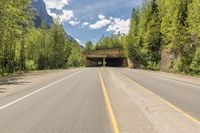 the road goes into the forest by the tunnel and has a motorcycle on it and blue sky and clouds