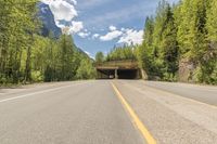 the road goes into the forest by the tunnel and has a motorcycle on it and blue sky and clouds