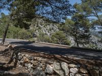 a person riding a bike next to a forest and cliff side road at the edge