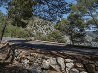 a person riding a bike next to a forest and cliff side road at the edge