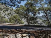 a person riding a bike next to a forest and cliff side road at the edge