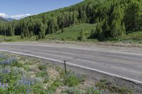 Scenic Road: Asphalt Ascent on Slate River