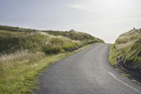 a single long winding road with grass on both sides and the sun shining behind it