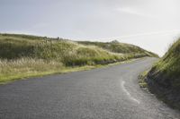 a single long winding road with grass on both sides and the sun shining behind it