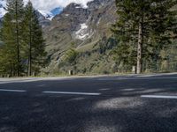 Scenic Road in Austria: Nature at its Finest with Larch Trees