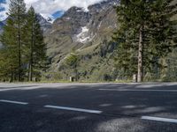 Scenic Road in Austria: Nature at its Finest with Larch Trees