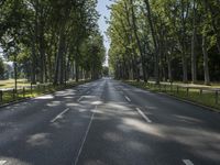 a street in the middle of some trees and grass on either side of the road