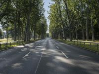 a street in the middle of some trees and grass on either side of the road