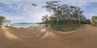 a road is seen in this photo with a nice lens view of the trees and beach