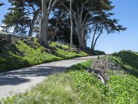 Scenic Road in the California Coastal Landscape