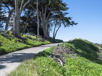 Scenic Road and California Coastal Landscape 003