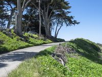 Scenic Road of California Coastal Landscape 004