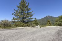 a street is empty with rocks and trees around it and mountains in the back ground