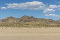Scenic Road in California: Sand, Desert, and Mountains