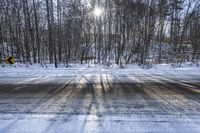 Scenic Road in Canada: Ontario's Asphalt Forest