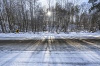 Scenic Road in Canada: Ontario's Asphalt Forest