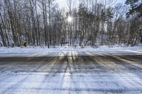 Scenic Road in Canada: Ontario's Asphalt Forest