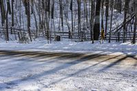 Scenic Road: Canadian Landscape and Trees