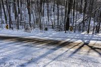 Scenic Road: Canadian Landscape and Trees