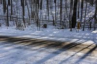 Scenic Road: Canadian Landscape and Trees