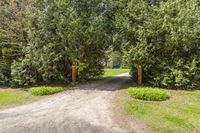 an entrance way through the woods to a home in a wooded area in oregon, where there is an open sign with a blue dot