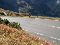 Scenic Road with Clear Sky in Austria