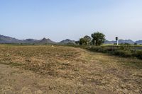 Scenic Road with Clear Sky in Thailand