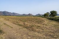 Scenic Road with Clear Sky in Thailand