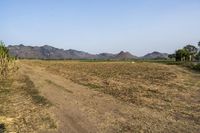 Scenic Road with Clear Sky in Thailand