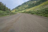 a dirt road leading to a grassy hillside near a forest and hill top, in the middle of an empty landscape