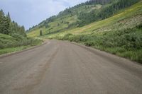 a dirt road leading to a grassy hillside near a forest and hill top, in the middle of an empty landscape