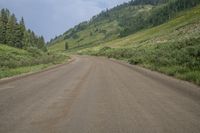 a dirt road leading to a grassy hillside near a forest and hill top, in the middle of an empty landscape